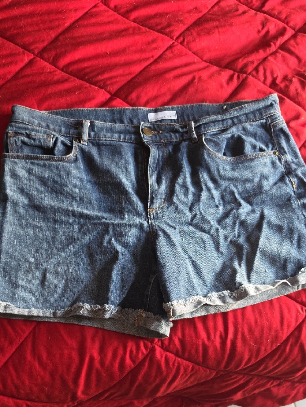 LOFT Blue Denim Frayed-Hem Women's Shorts